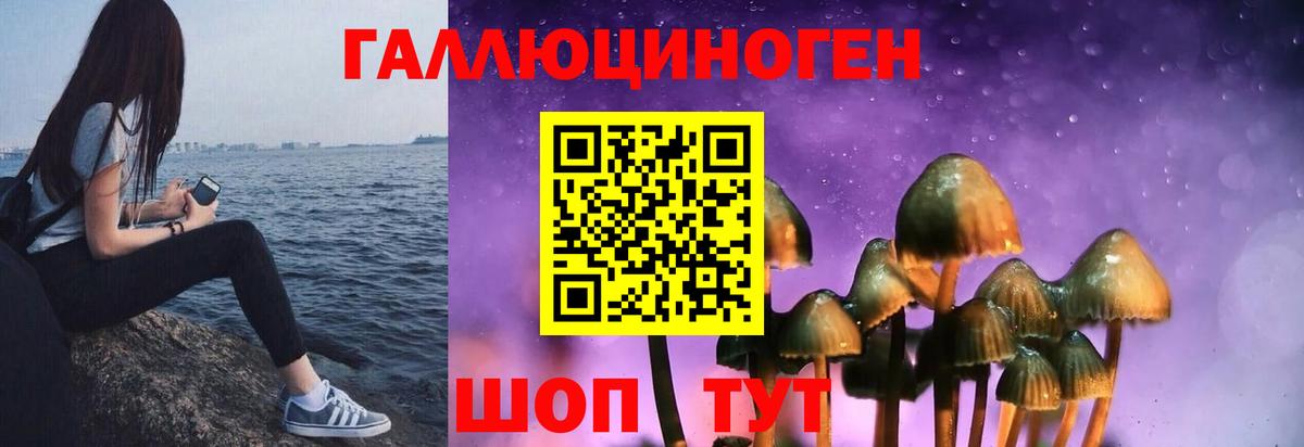 Псилоцибиновые грибы Cubensis Партизанск